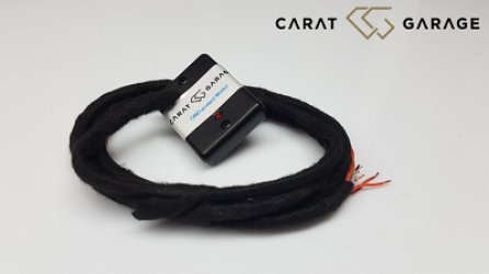 OBD Protect Modul